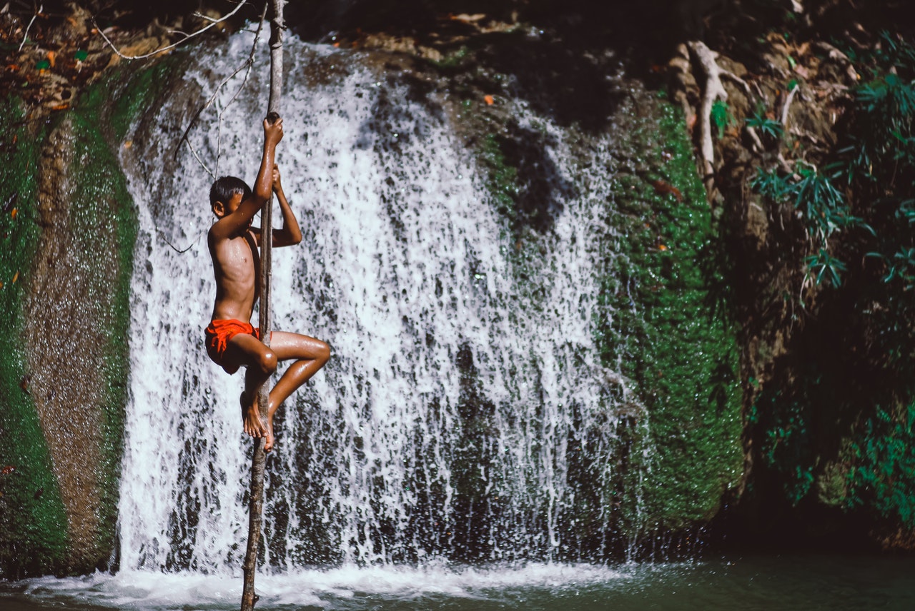 Boy Climbing Stick Beside Waterwalls